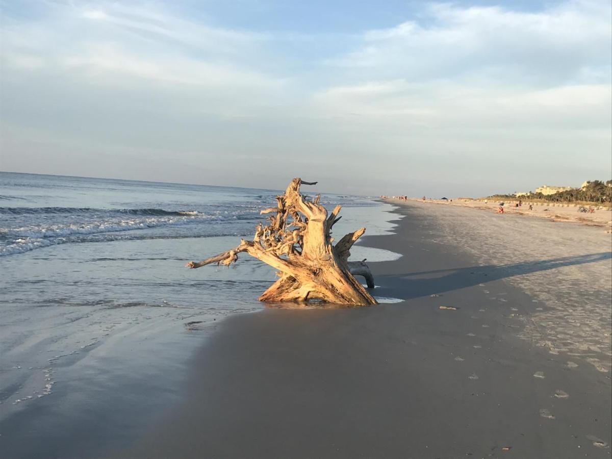 Beachfront Condo With Ocean View Hilton Head Island Ngoại thất bức ảnh